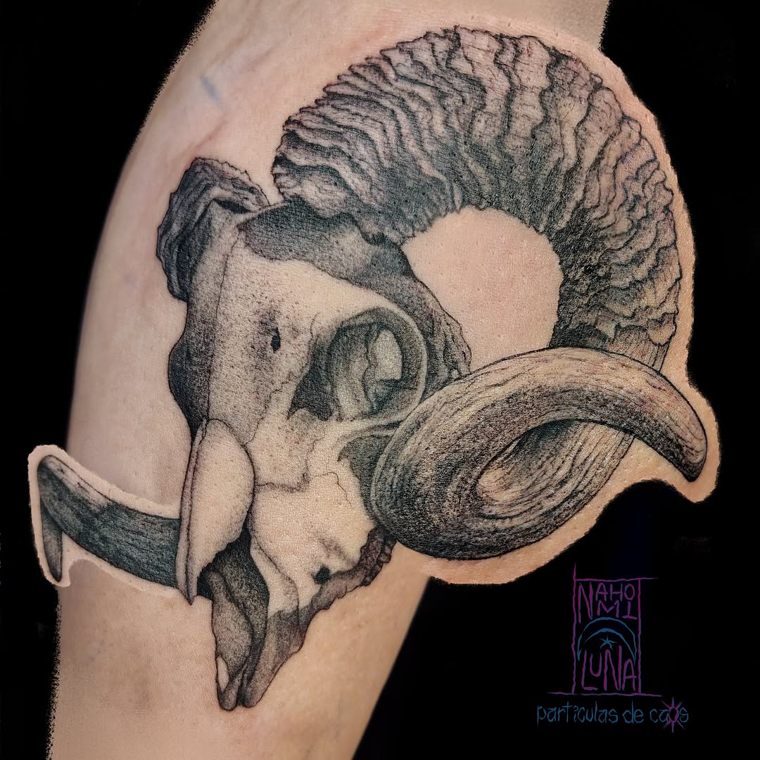 Tattoo by @particulasdecaos_ — realism, black_and_grey