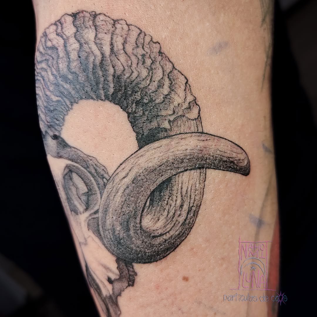 Tattoo by @particulasdecaos_ — realism, black_and_grey