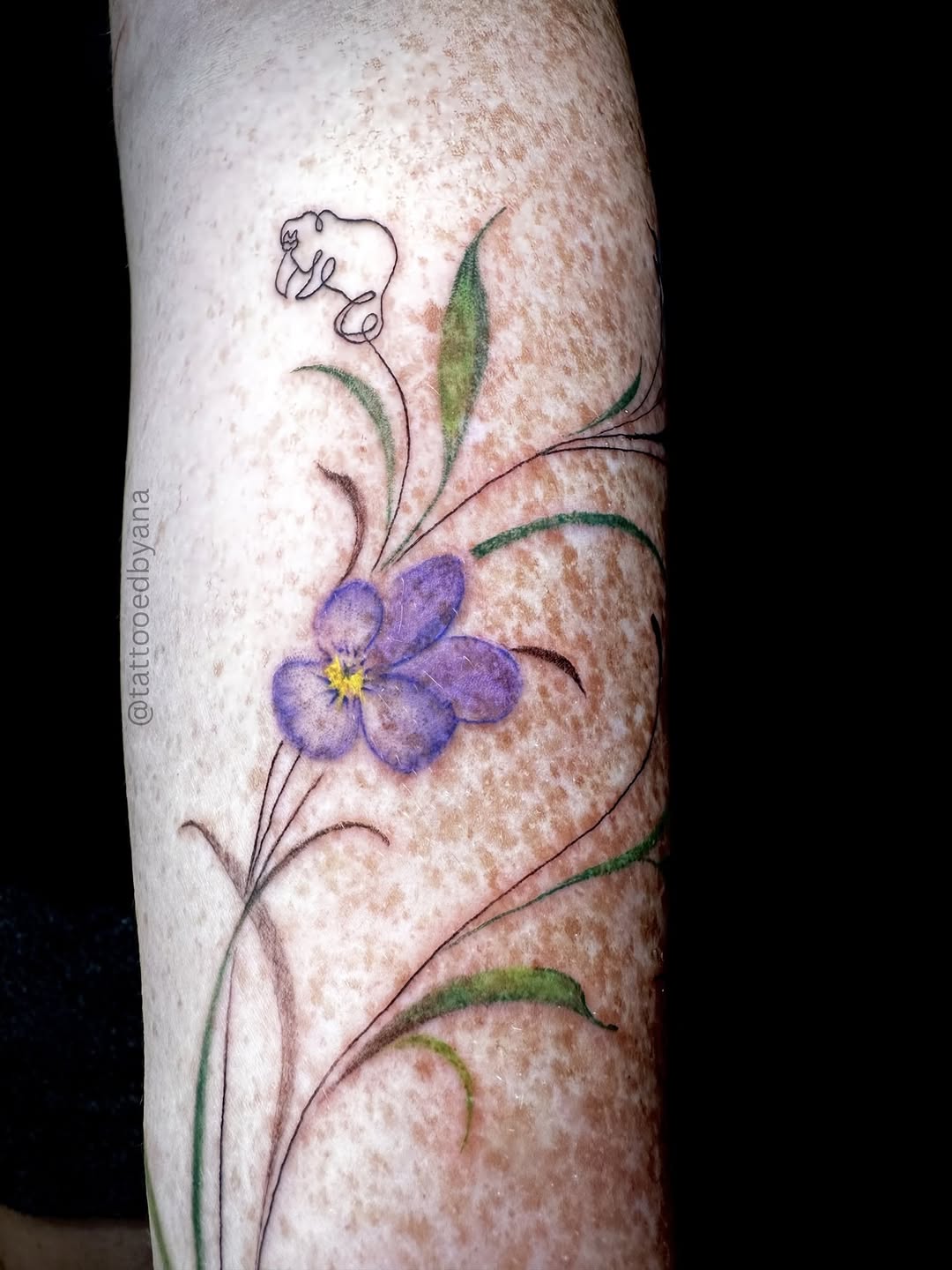 Tattoo by @tattooedbyana — fine_line