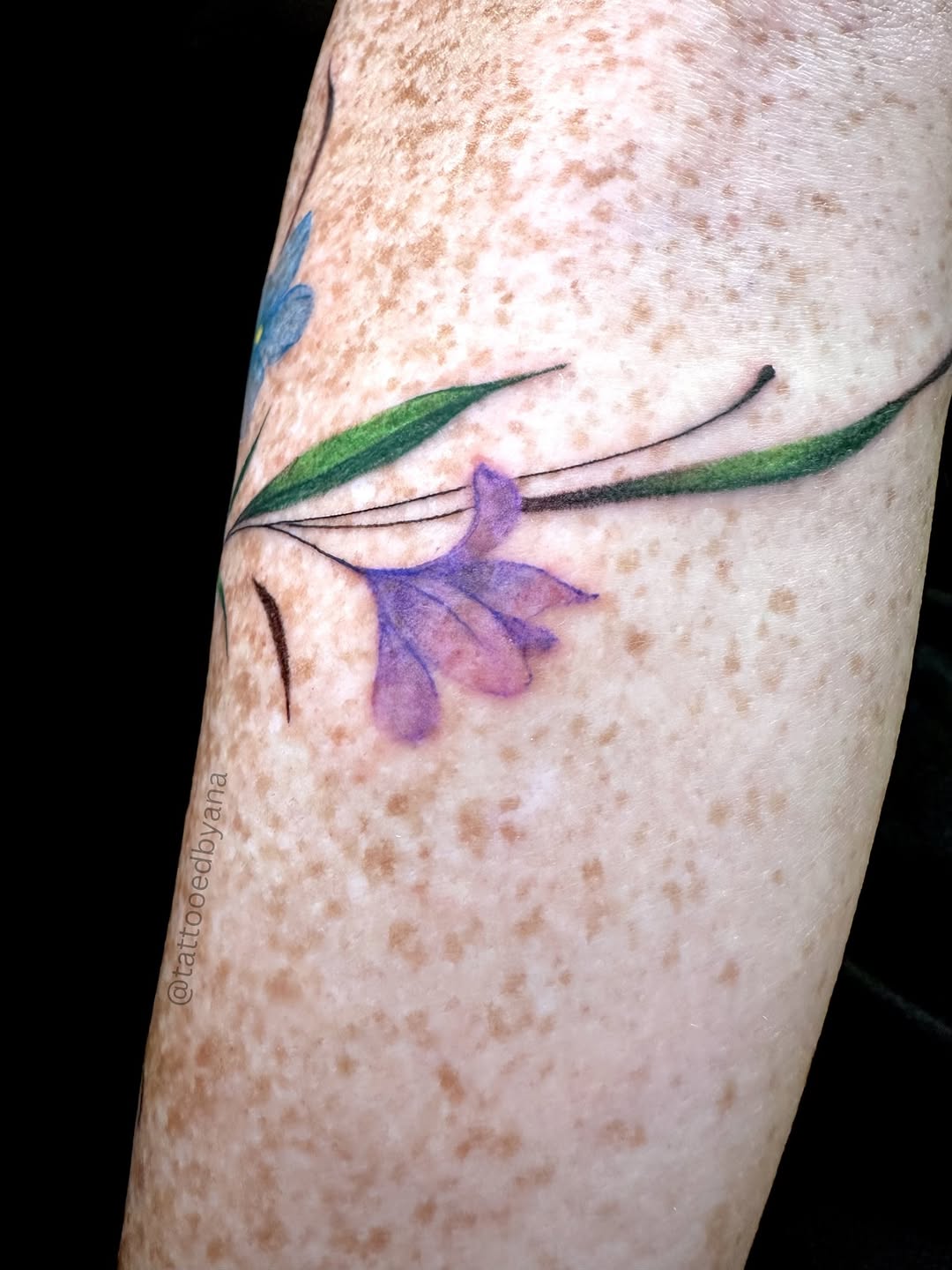 Tattoo by @tattooedbyana — fine_line