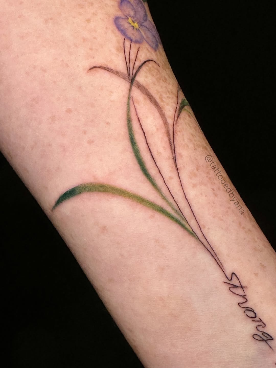 Tattoo by @tattooedbyana — fine_line, lettering_script
