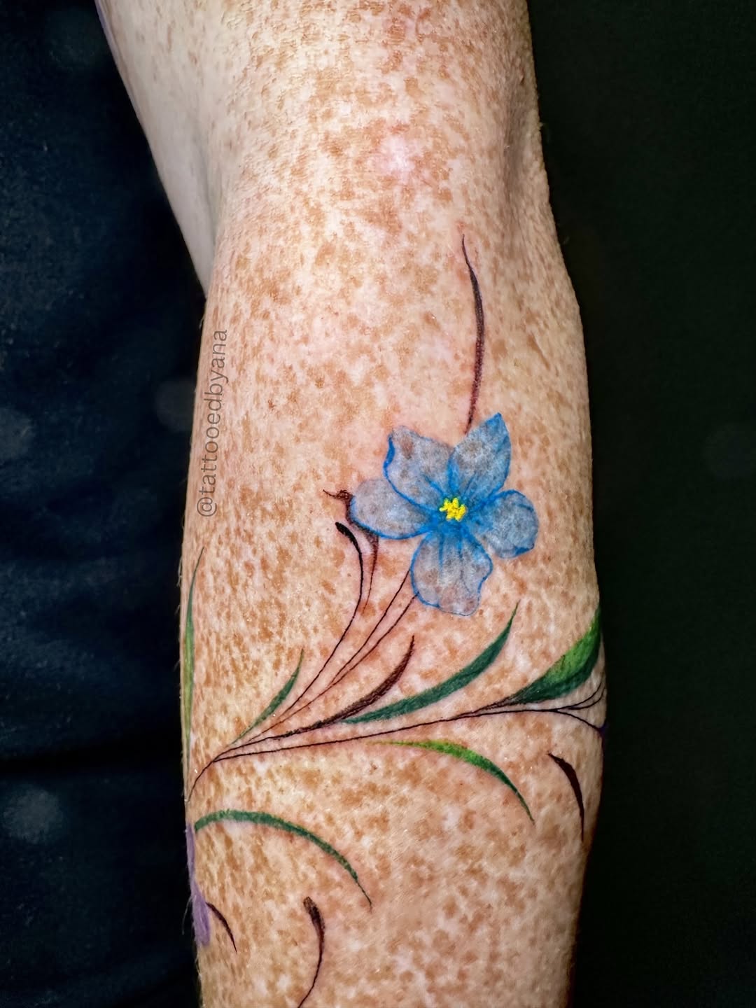 Tattoo by @tattooedbyana — fine_line