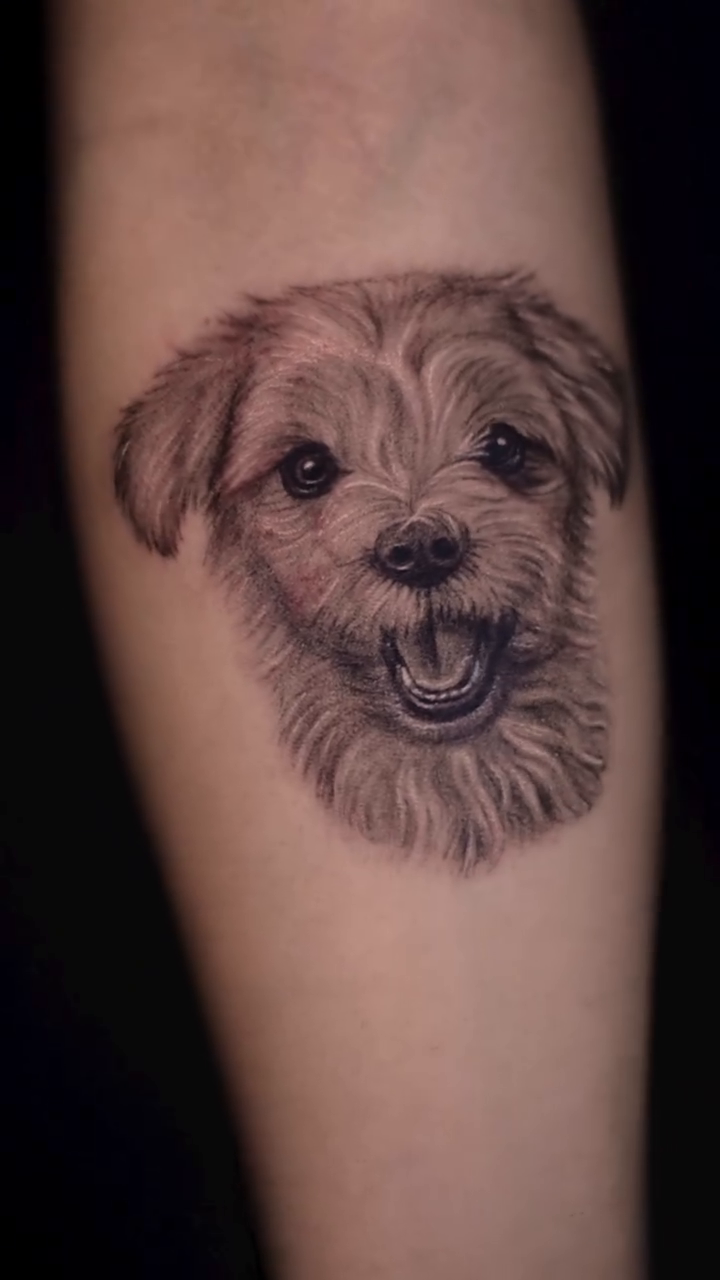Tattoo by @sherllytattoos_ โ realism, black_and_grey