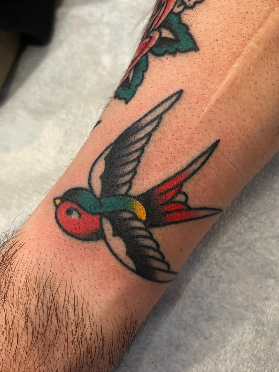 Tattoo by @reisbecktattooer — american_traditional