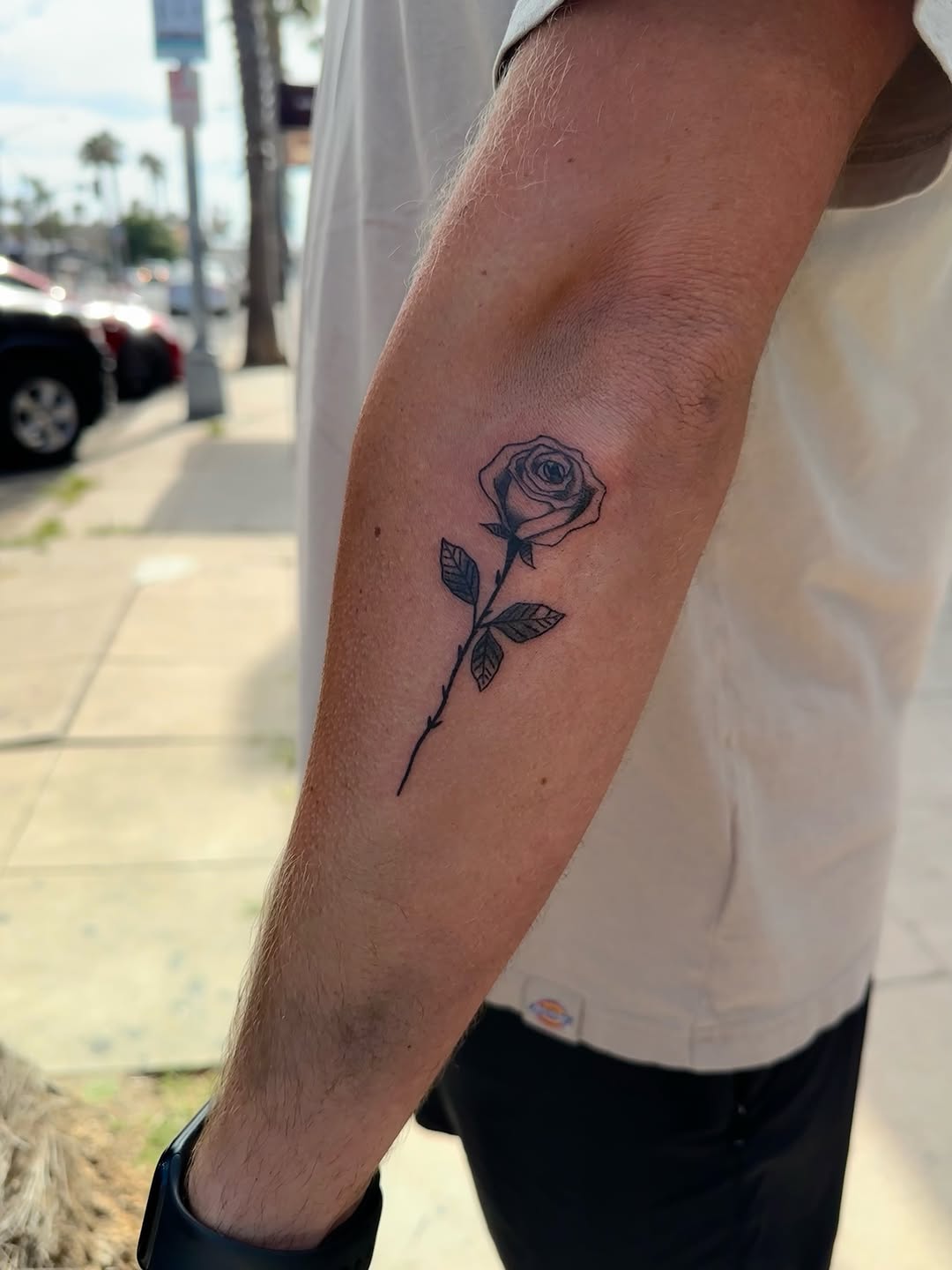 Tattoo by @cherryxtats β fine_line, black_and_grey