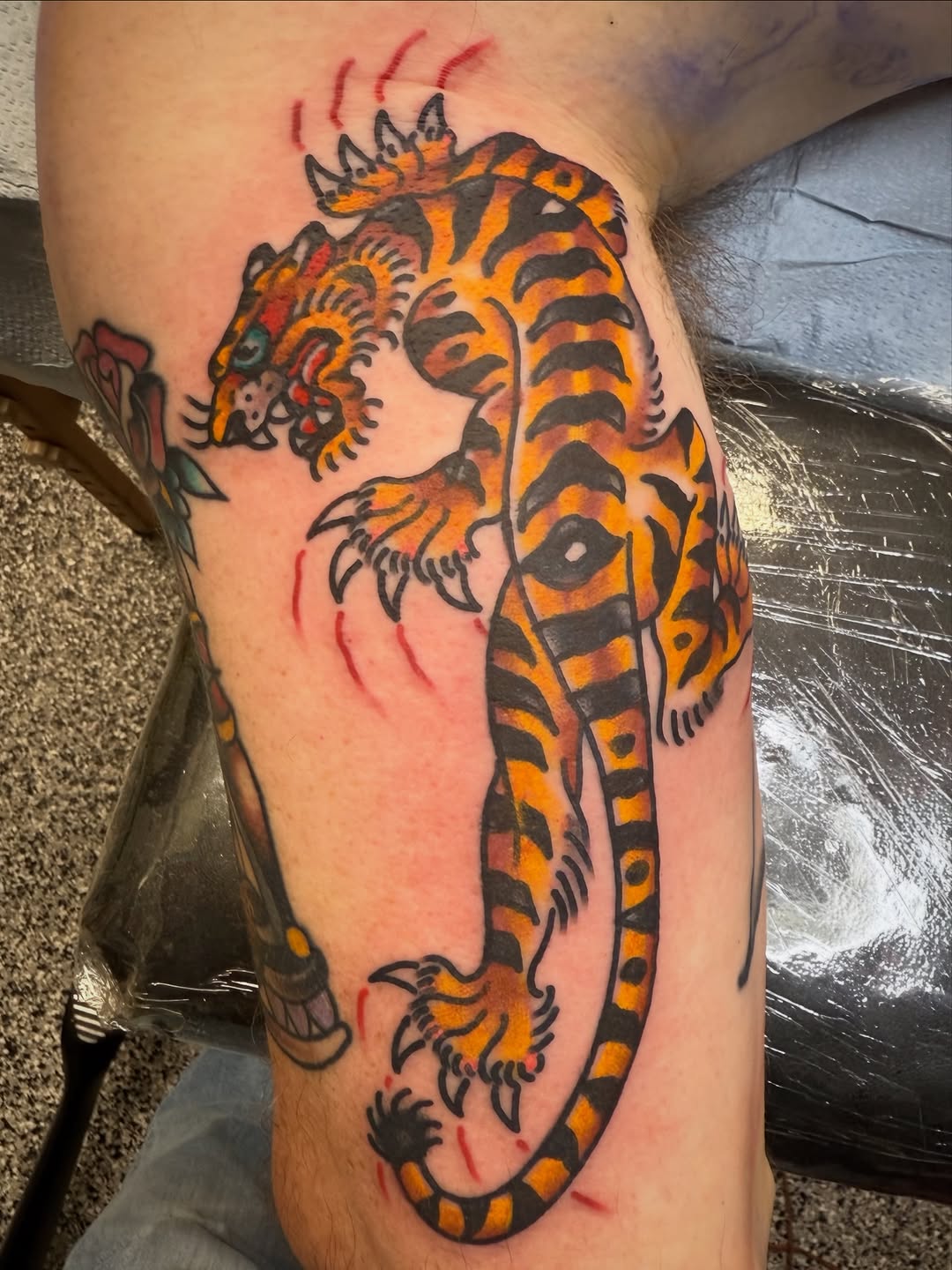 Tattoo by @chuckieneedles — american_traditional
