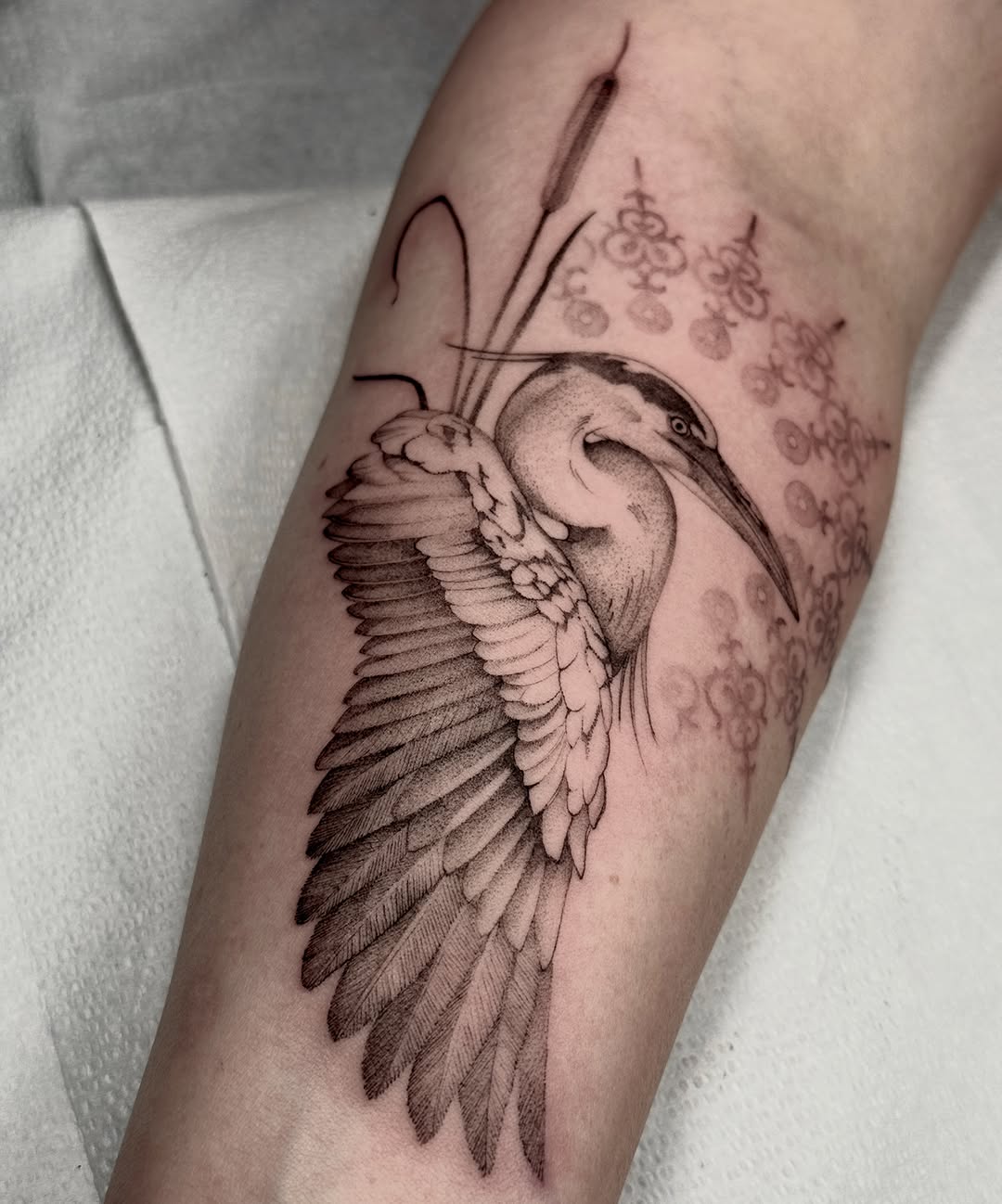 Tattoo by @mollymurrayink — illustrative, black_and_grey