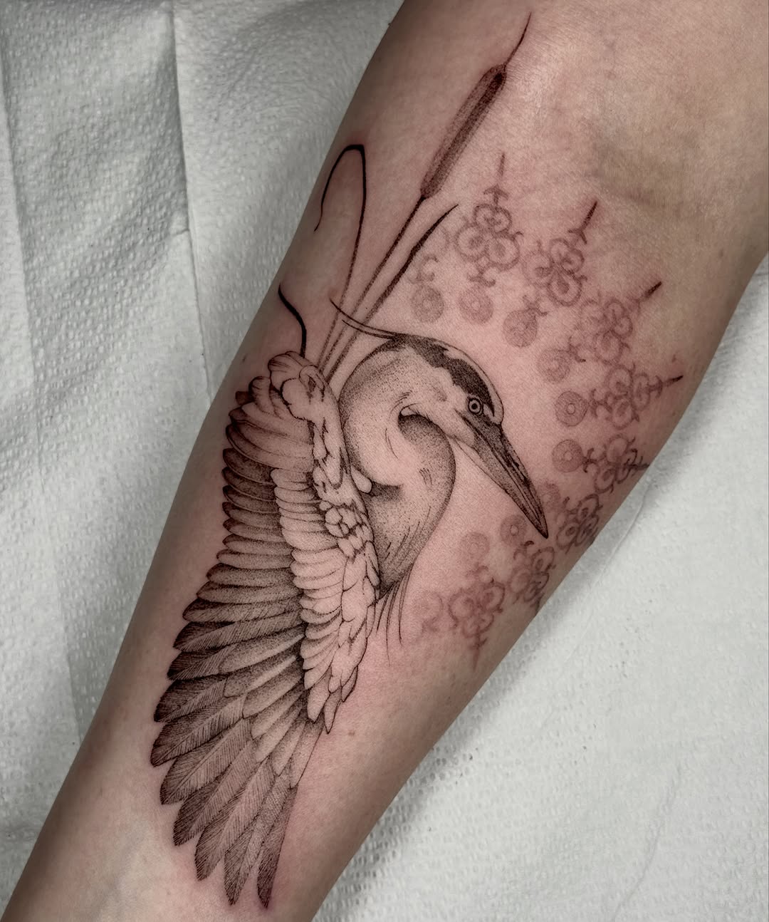 Tattoo by @mollymurrayink — illustrative, black_and_grey