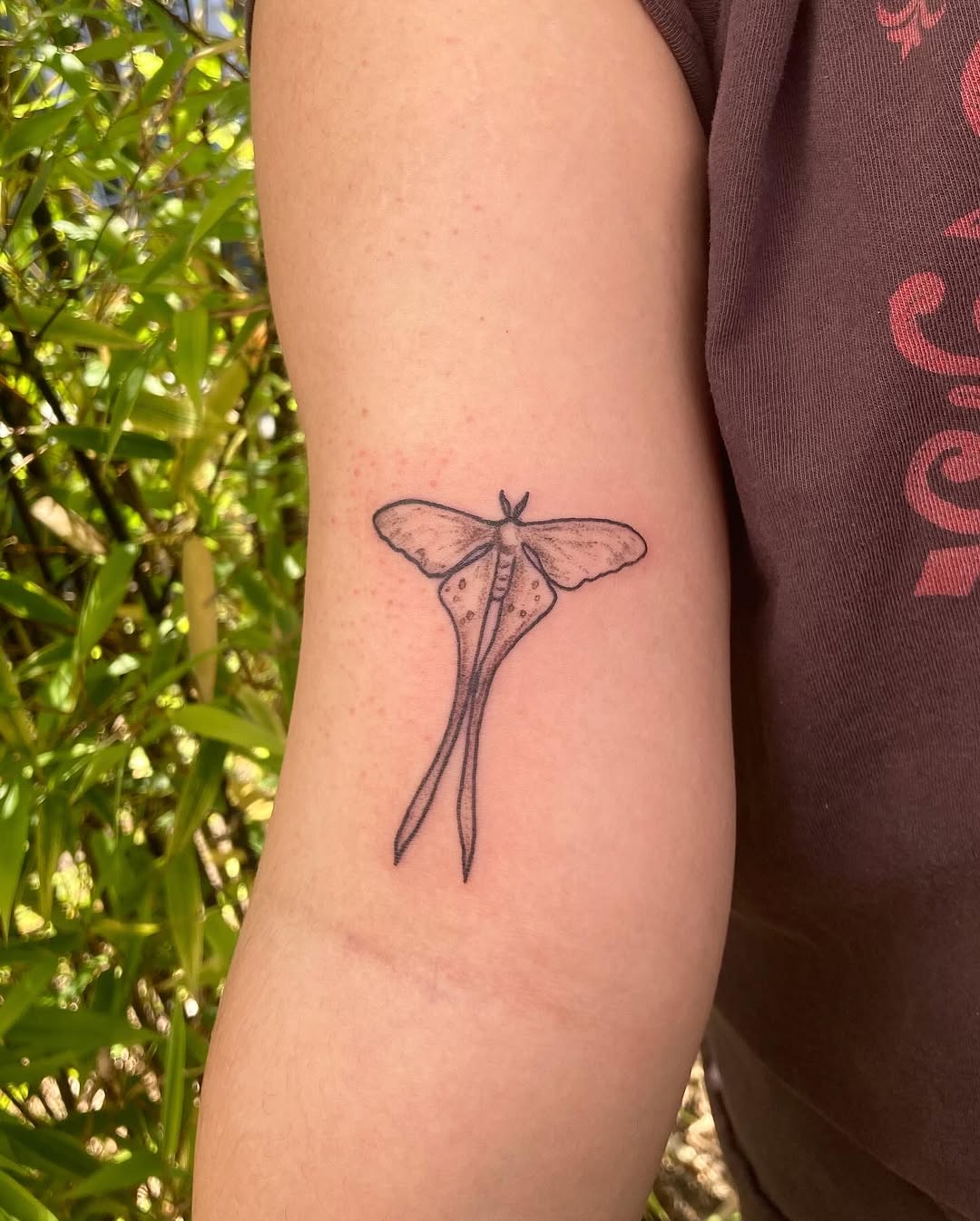 Tattoo by @clownstoothh — fine_line
