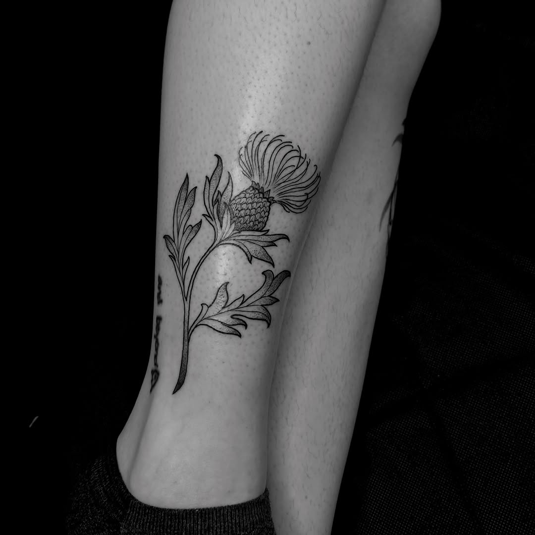 Tattoo by @treehuggertattoos — fine_line, illustrative