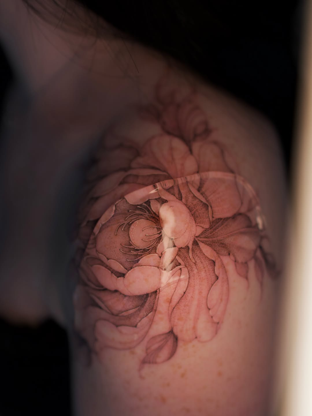 Tattoo by @vxn.ink — illustrative, black_and_grey