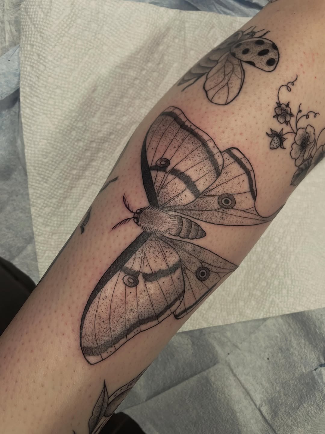Tattoo by @andreyu187 — black_and_grey, illustrative