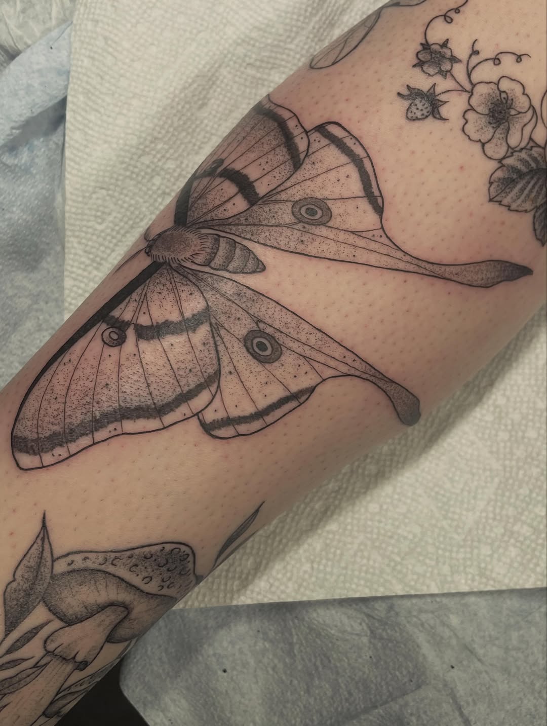 Tattoo by @andreyu187 — illustrative, black_and_grey