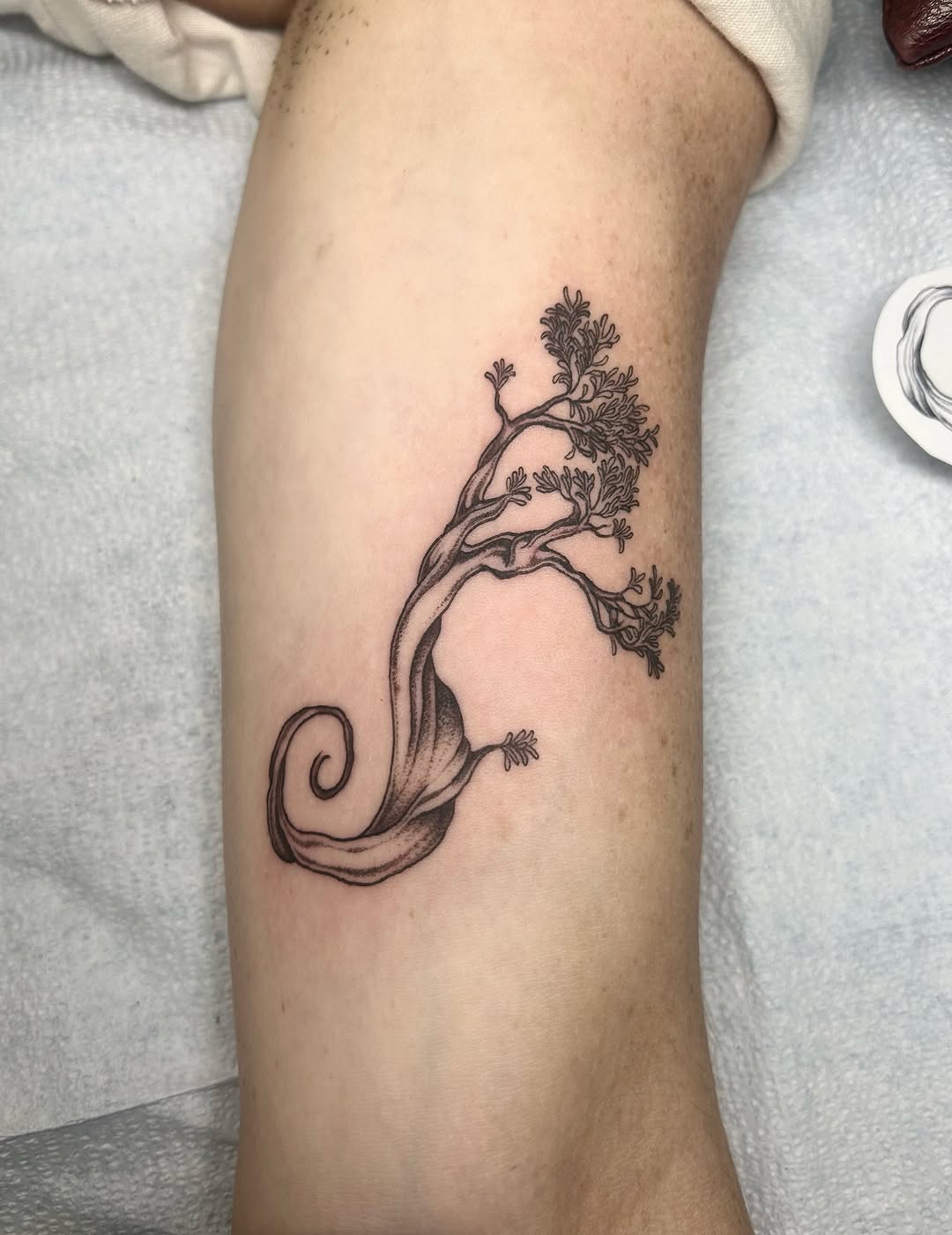 Tattoo by @adieyatty — illustrative, fine_line
