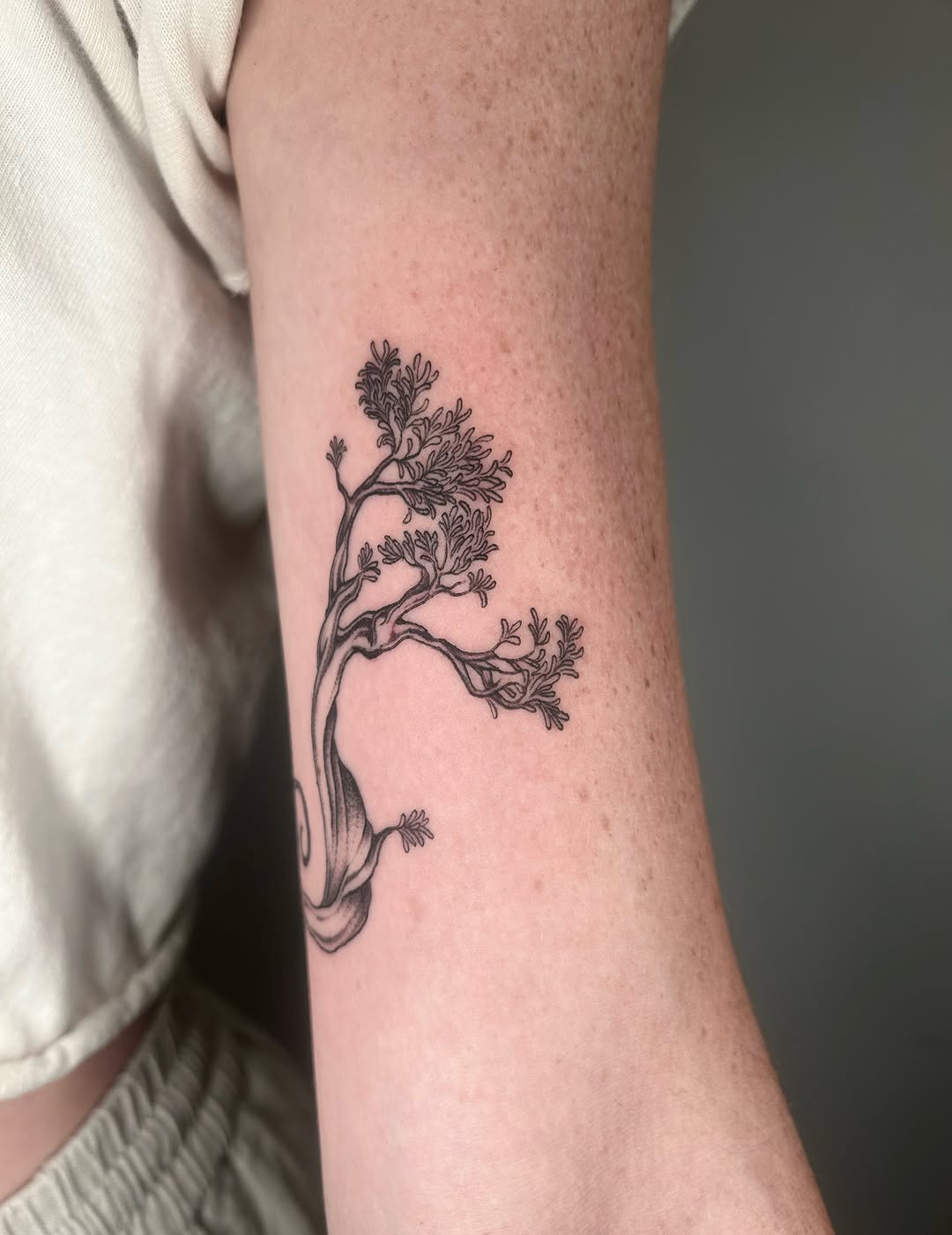Tattoo by @adieyatty — fine_line, illustrative