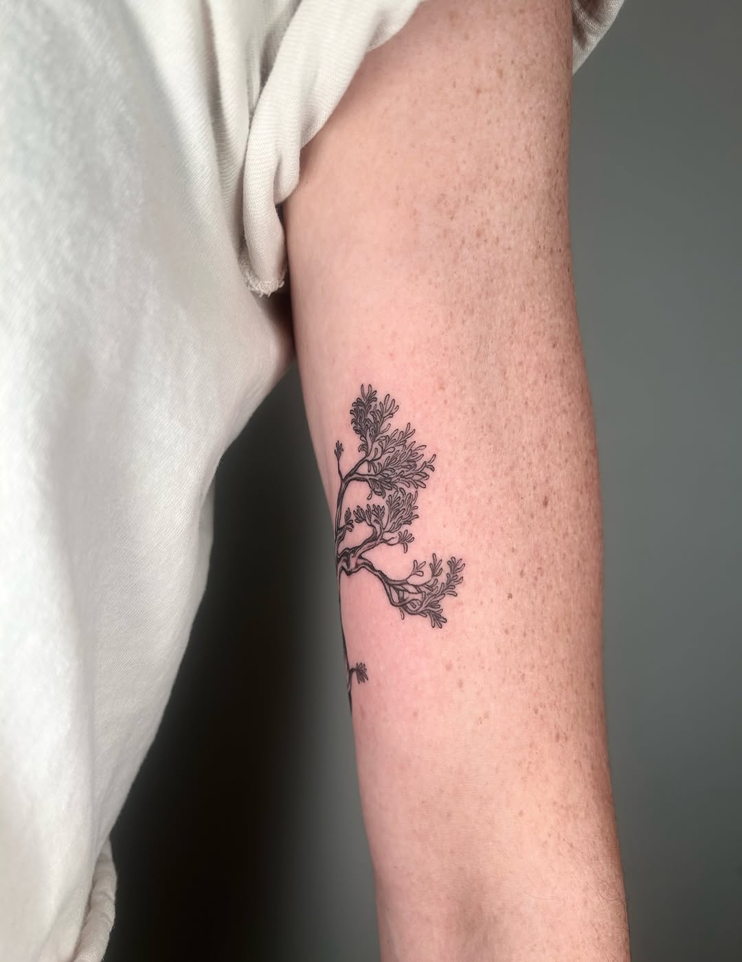 Tattoo by @adieyatty — fine_line, illustrative