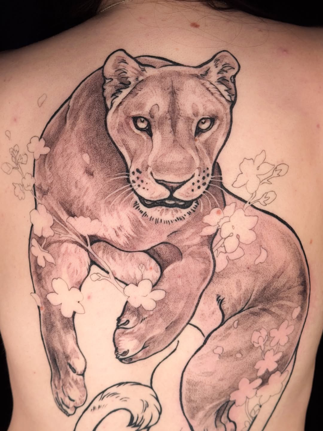 Tattoo by @roseshrubs — black_and_grey