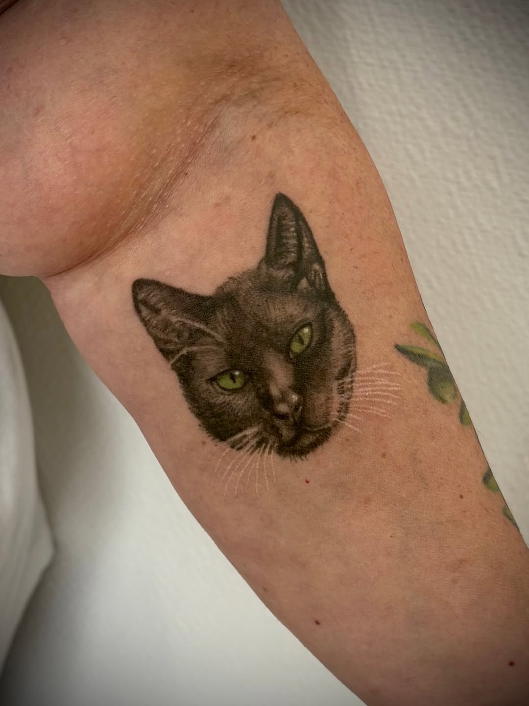 Tattoo by @sclerotik_tattoo — realism, black_and_grey
