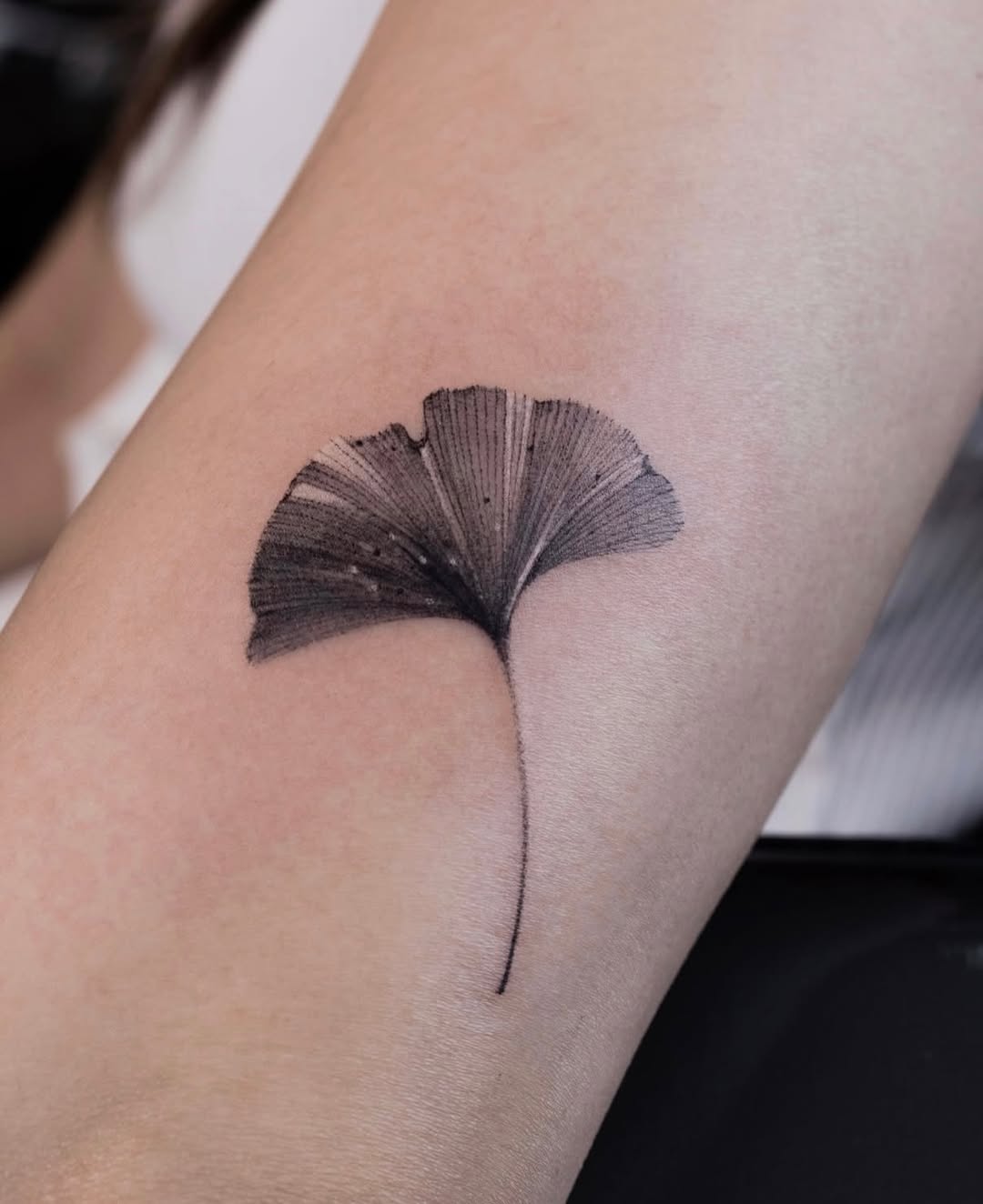 Tattoo by @tattooist_hea — fine_line, realism