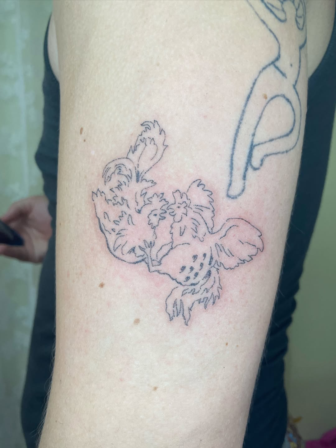 Tattoo by @3rdpancake — sketch