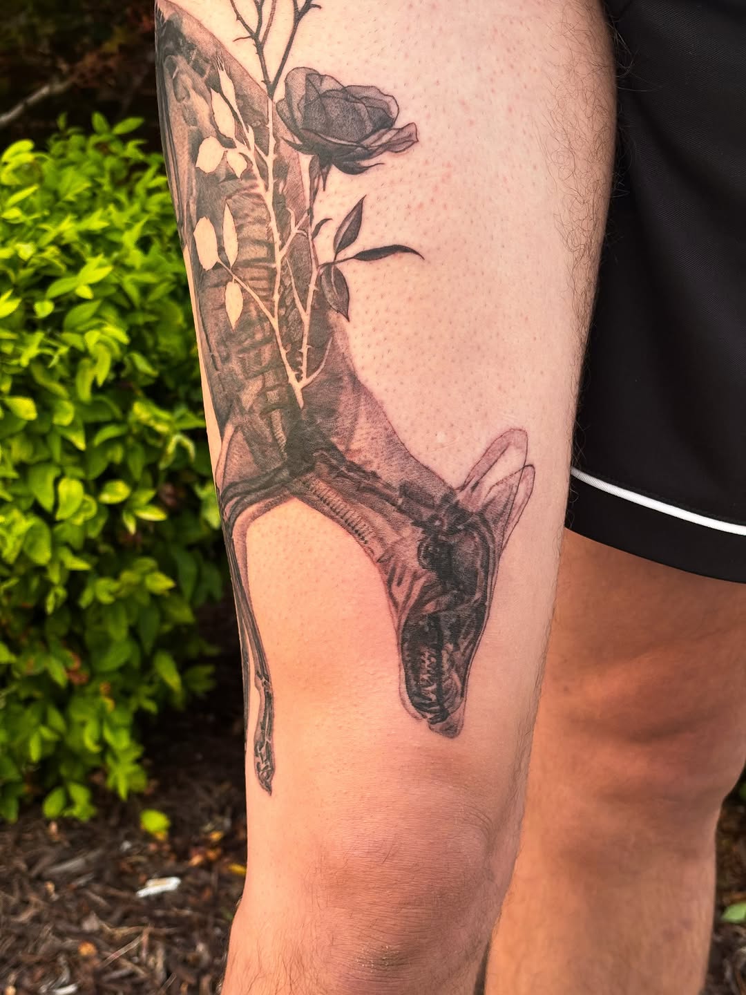 Tattoo by @songsparrowink — realism, black_and_grey