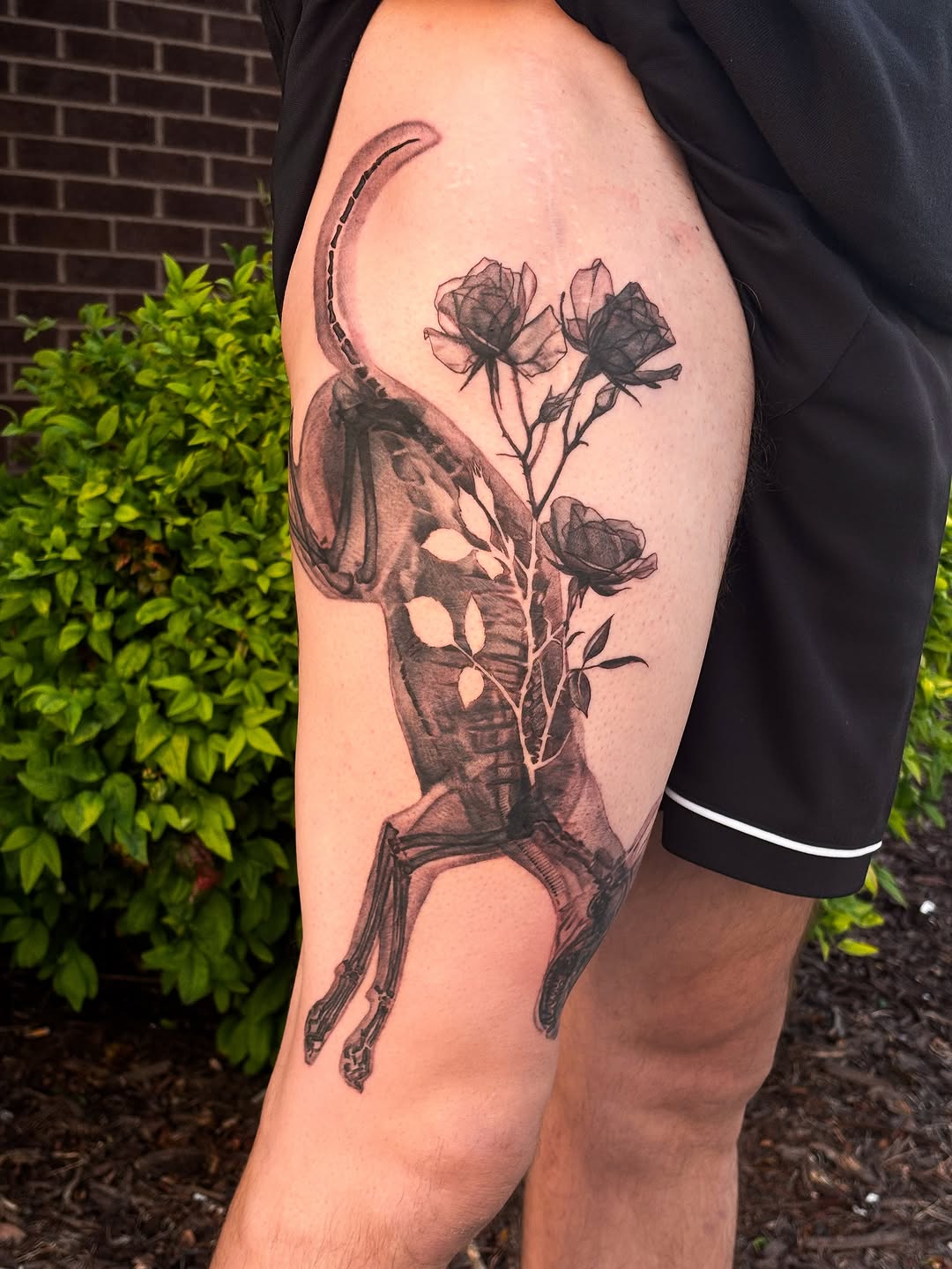 Tattoo by @songsparrowink — black_and_grey, realism