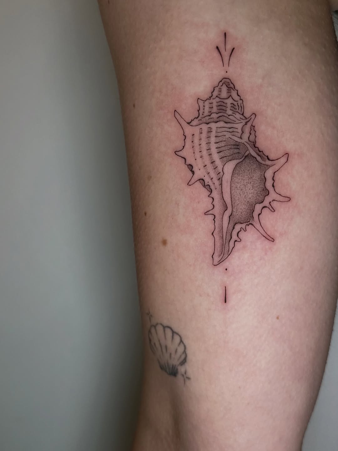 Tattoo by @dirtydianna_tatts โ fine_line