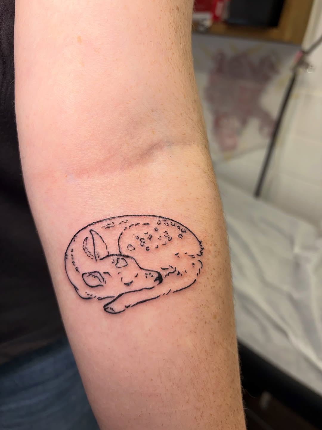 Tattoo by @mushypokes — fine_line