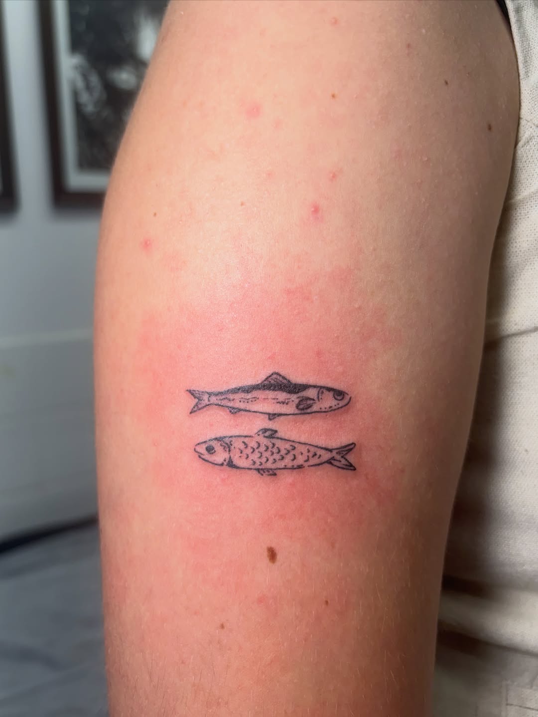 Tattoo by @mushypokes — fine_line