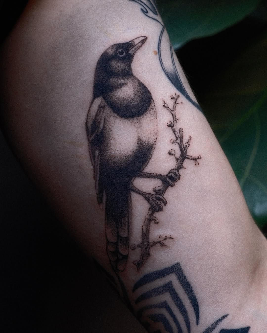 Tattoo by @bensart — blackwork