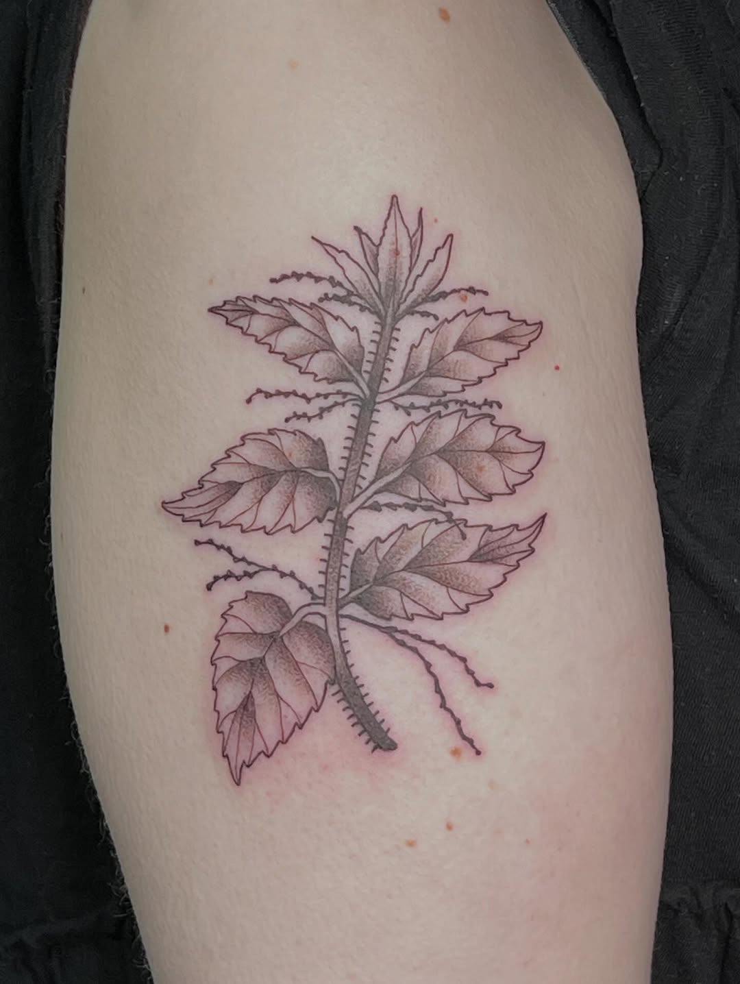 Tattoo by @mesmerize.ink — fine_line, black_and_grey