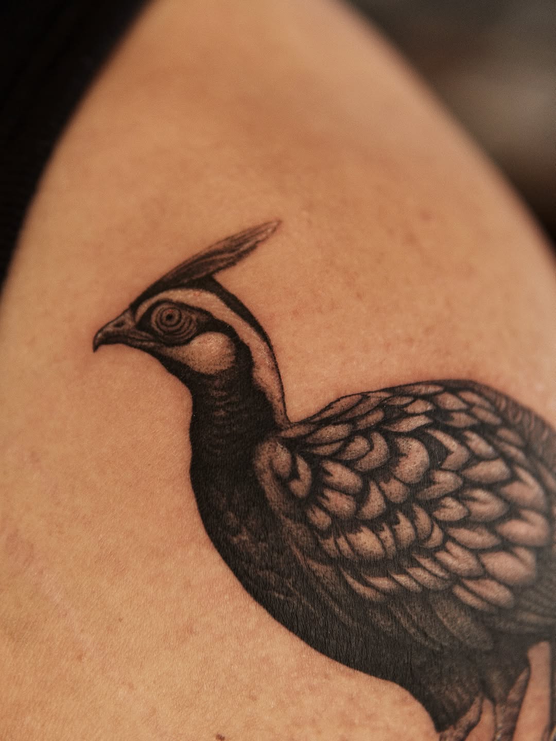 Tattoo by @quindaytattoos — black_and_grey, realism
