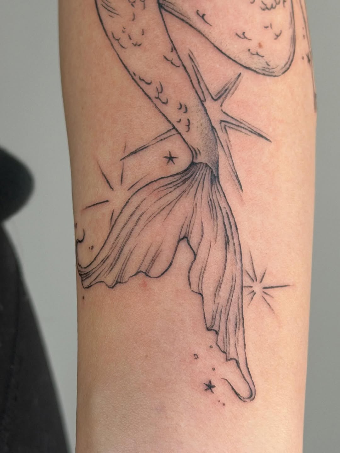 Tattoo by @honeylucktattoo — fine_line, illustrative
