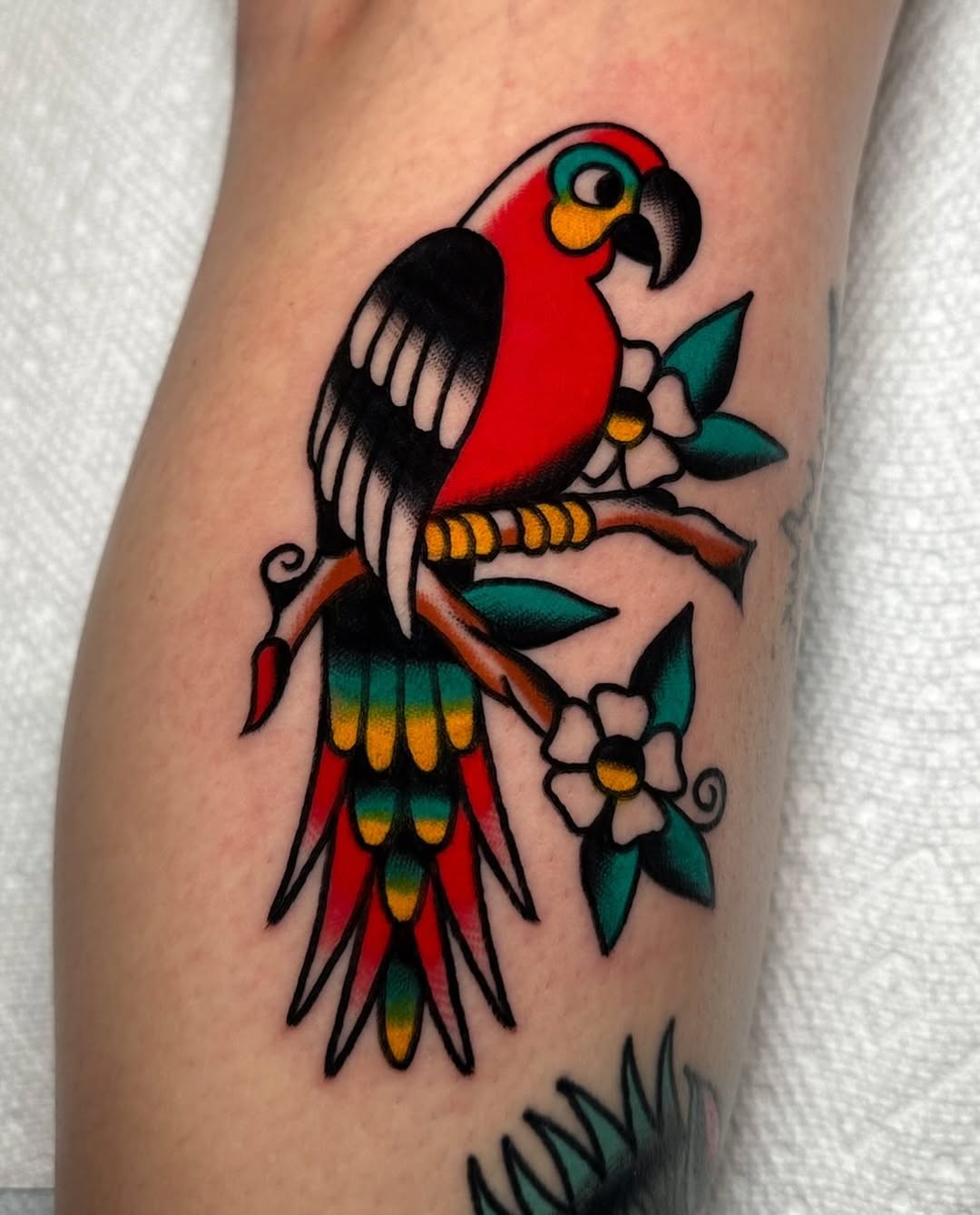 Tattoo by @zahra.tattoos — american_traditional