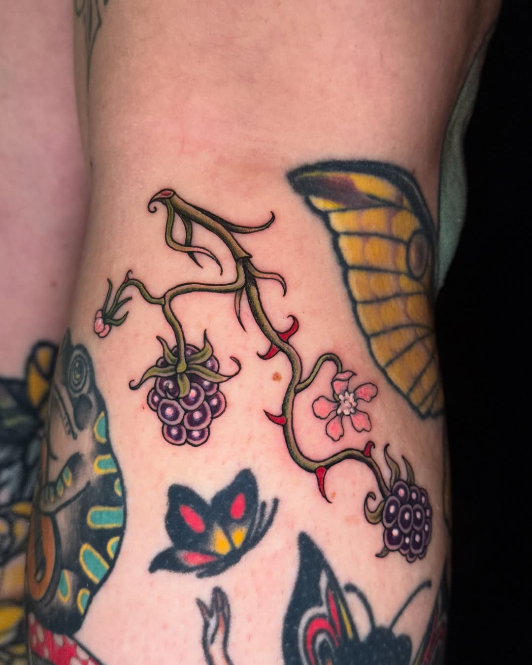 Tattoo by @patternfreak — illustrative, american_traditional