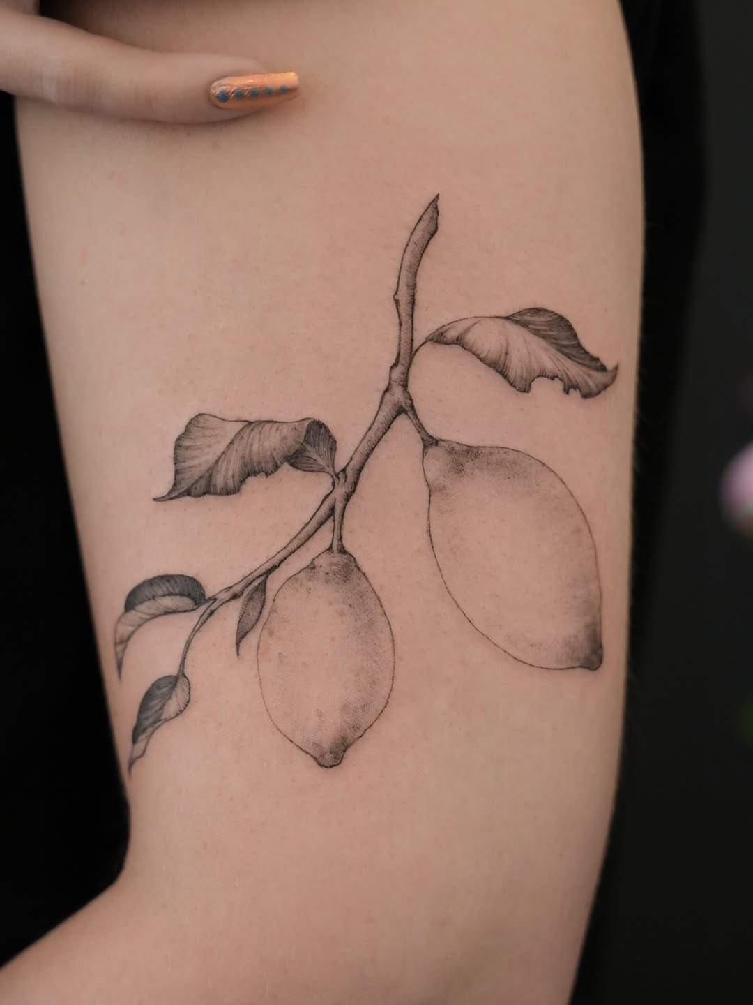 Tattoo by @junh_tattoo β fine_line, black_and_grey