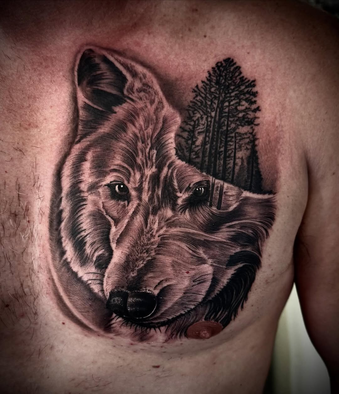 Tattoo by @anthonyclesceritattoo — realism, black_and_grey