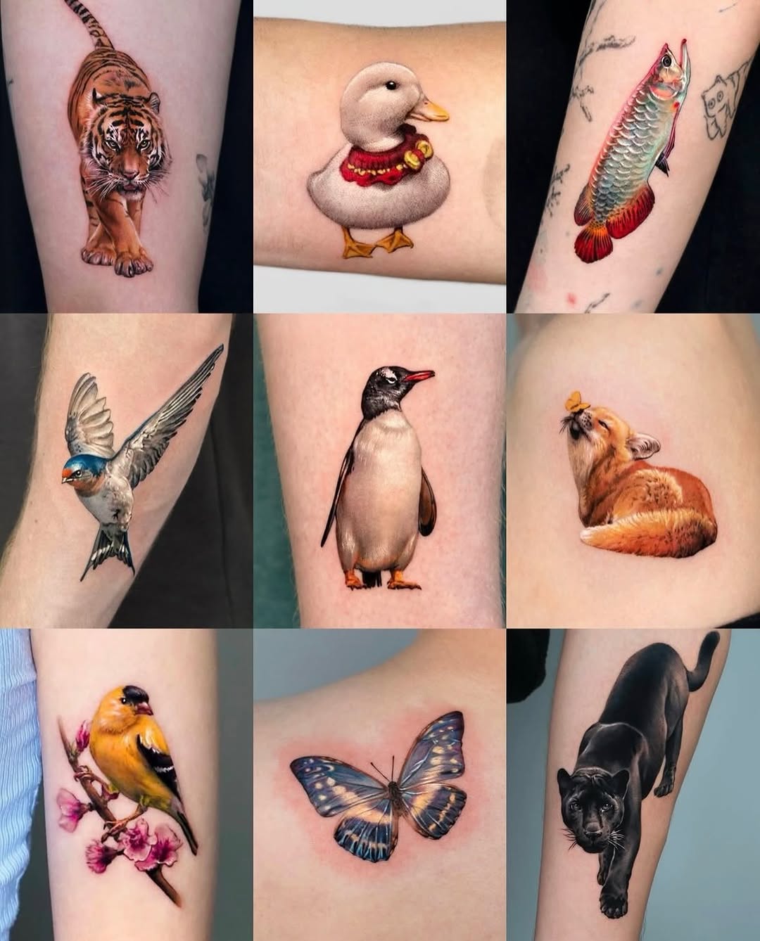 Tattoo by @harry_color — realism