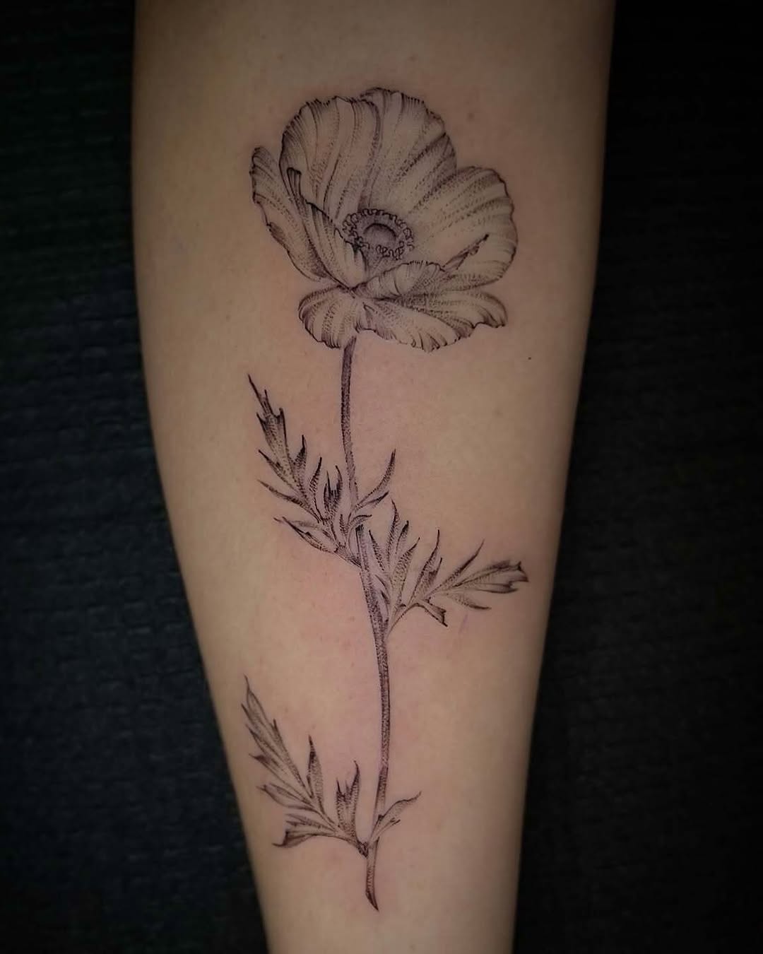 Tattoo by @southpaw.stipple โ fine_line, realism