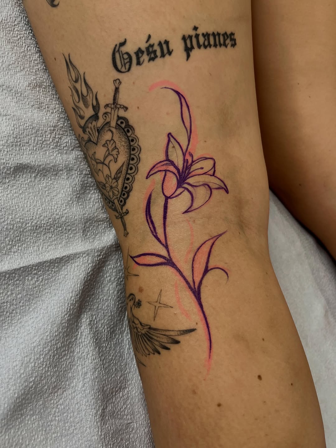 Tattoo by @sara_atamian_tattoos β illustrative, black_and_grey