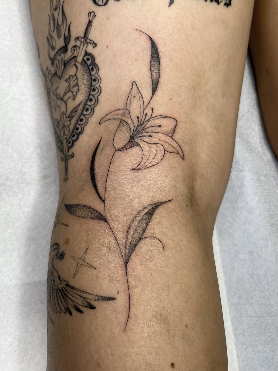 Tattoo by @sara_atamian_tattoos β fine_line, illustrative