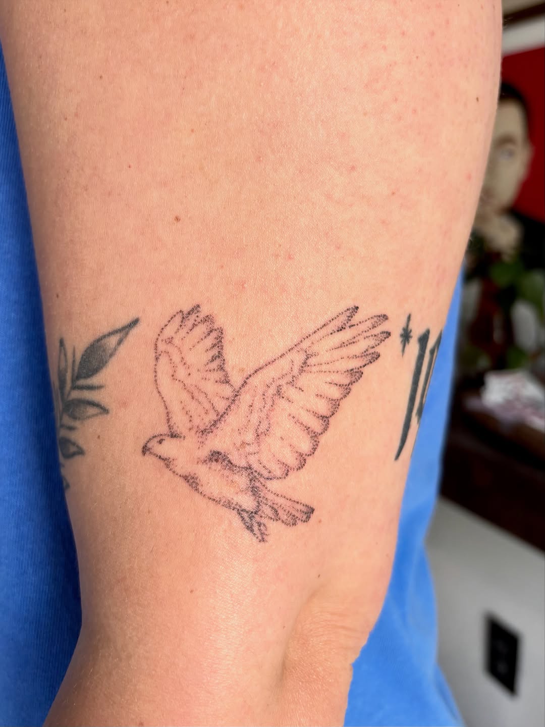 Tattoo by @seneca_studios — fine_line, illustrative