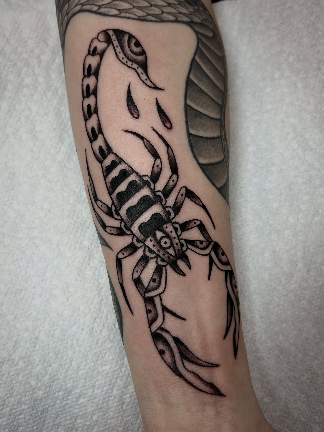 Tattoo by @hollydanesi โ american_traditional, black_and_grey