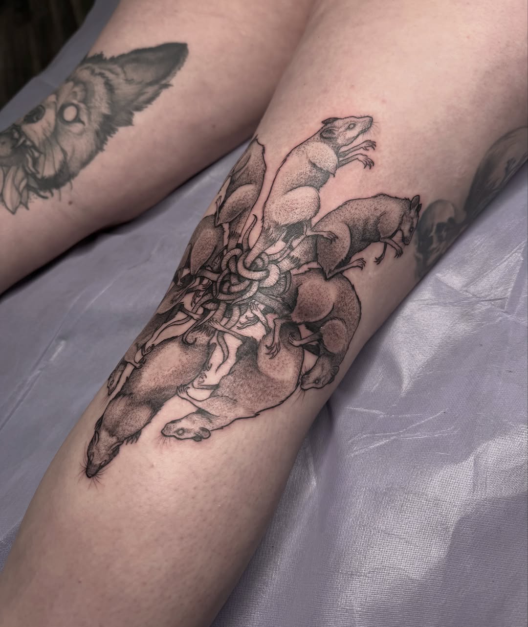 Tattoo by @fragiledagger — black_and_grey, realism