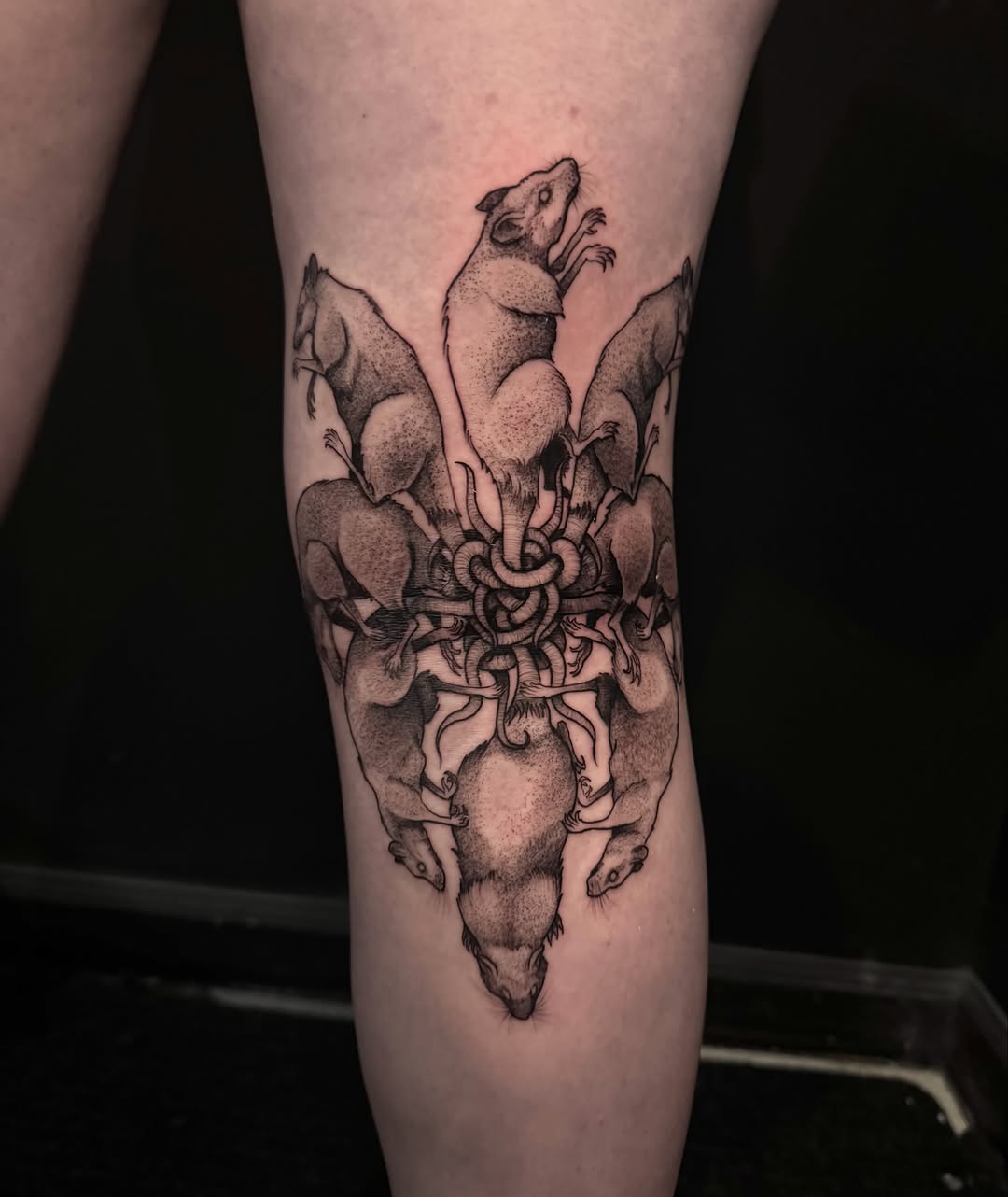 Tattoo by @fragiledagger — realism, black_and_grey