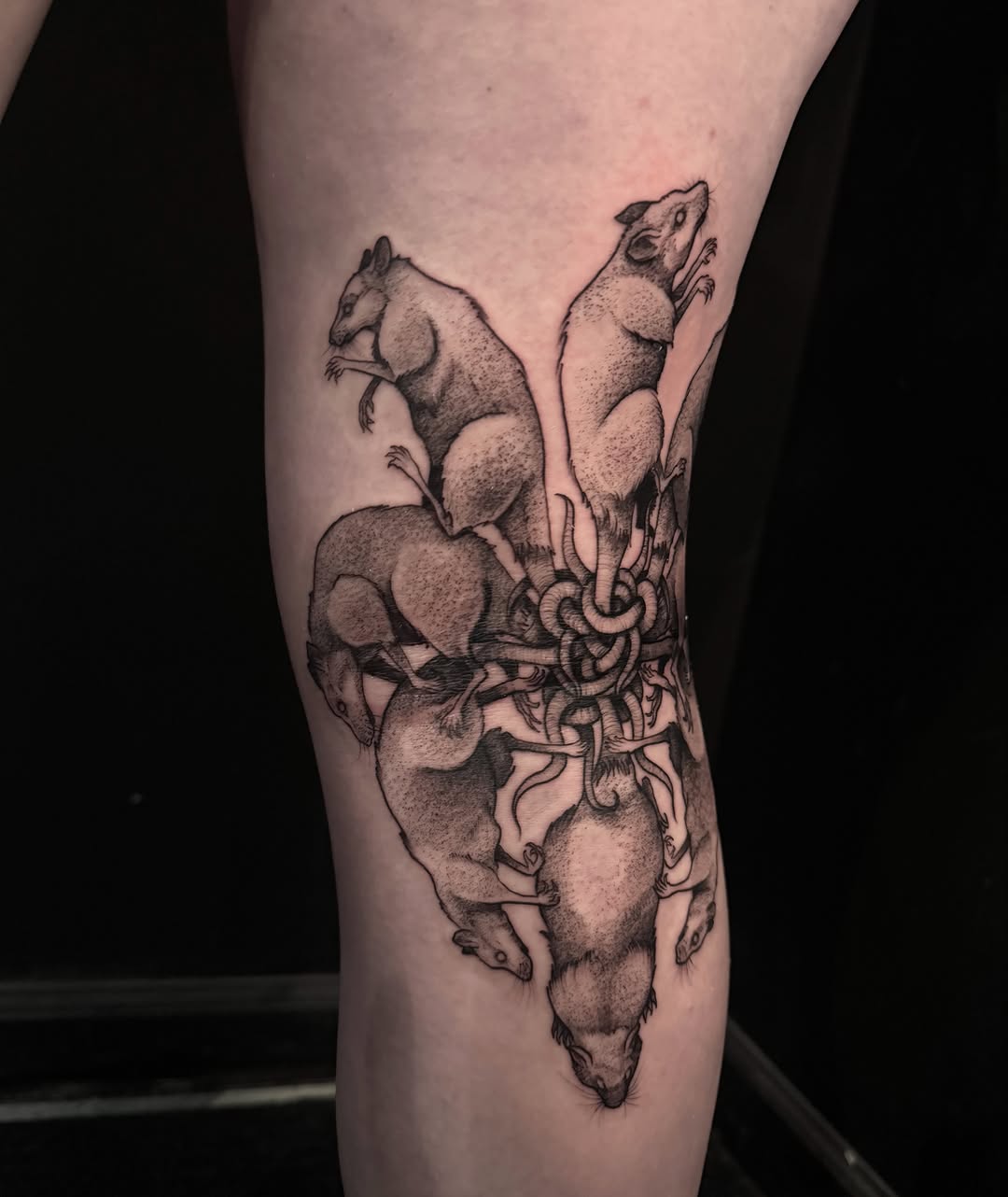Tattoo by @fragiledagger — realism, black_and_grey
