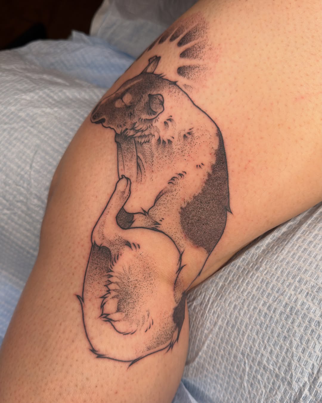 Tattoo by @juleghoul — dotwork, realism
