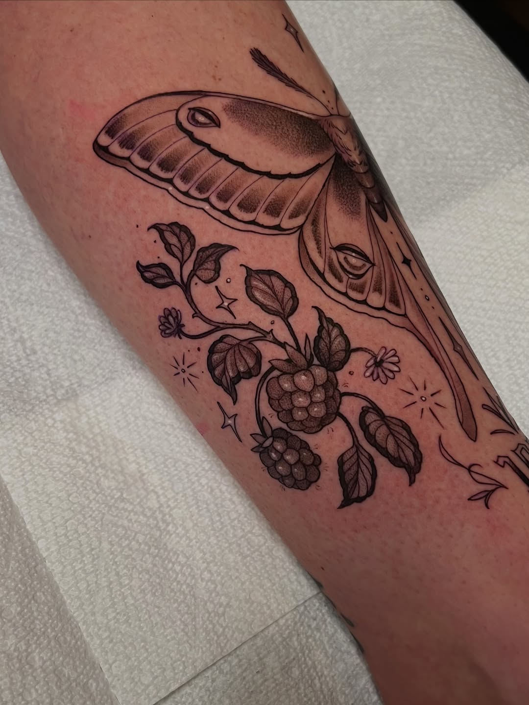 Tattoo by @girlwiththefoxtattoo — fine_line, black_and_grey