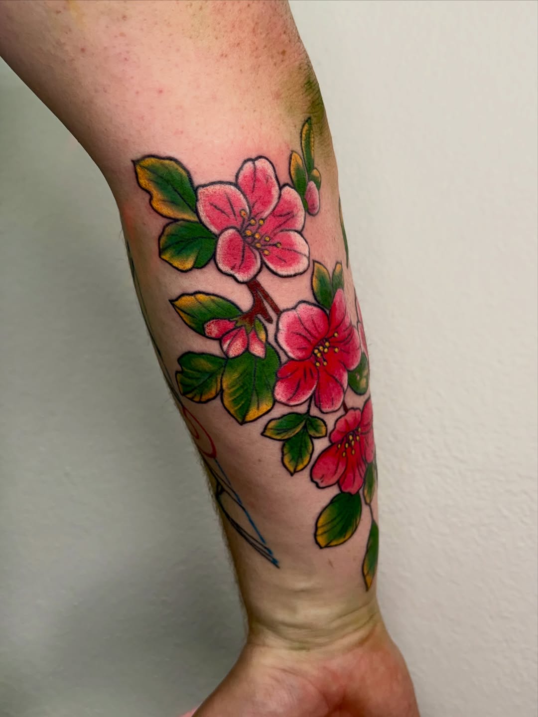 Tattoo by @inkedbyharlow — american_traditional