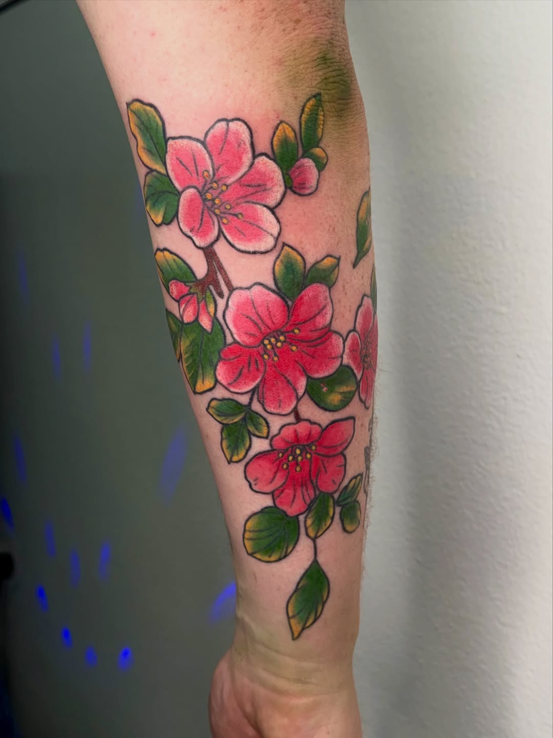 Tattoo by @inkedbyharlow — american_traditional
